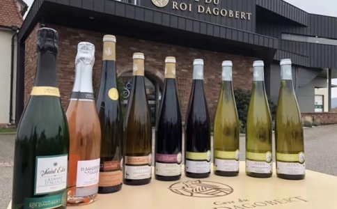 綿陽紅酒專賣店-綿陽紅酒批發市場進口酒類