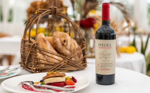 如何鑒別紅酒的品質 怎么鑒別紅酒的檔次 紅酒鑒定